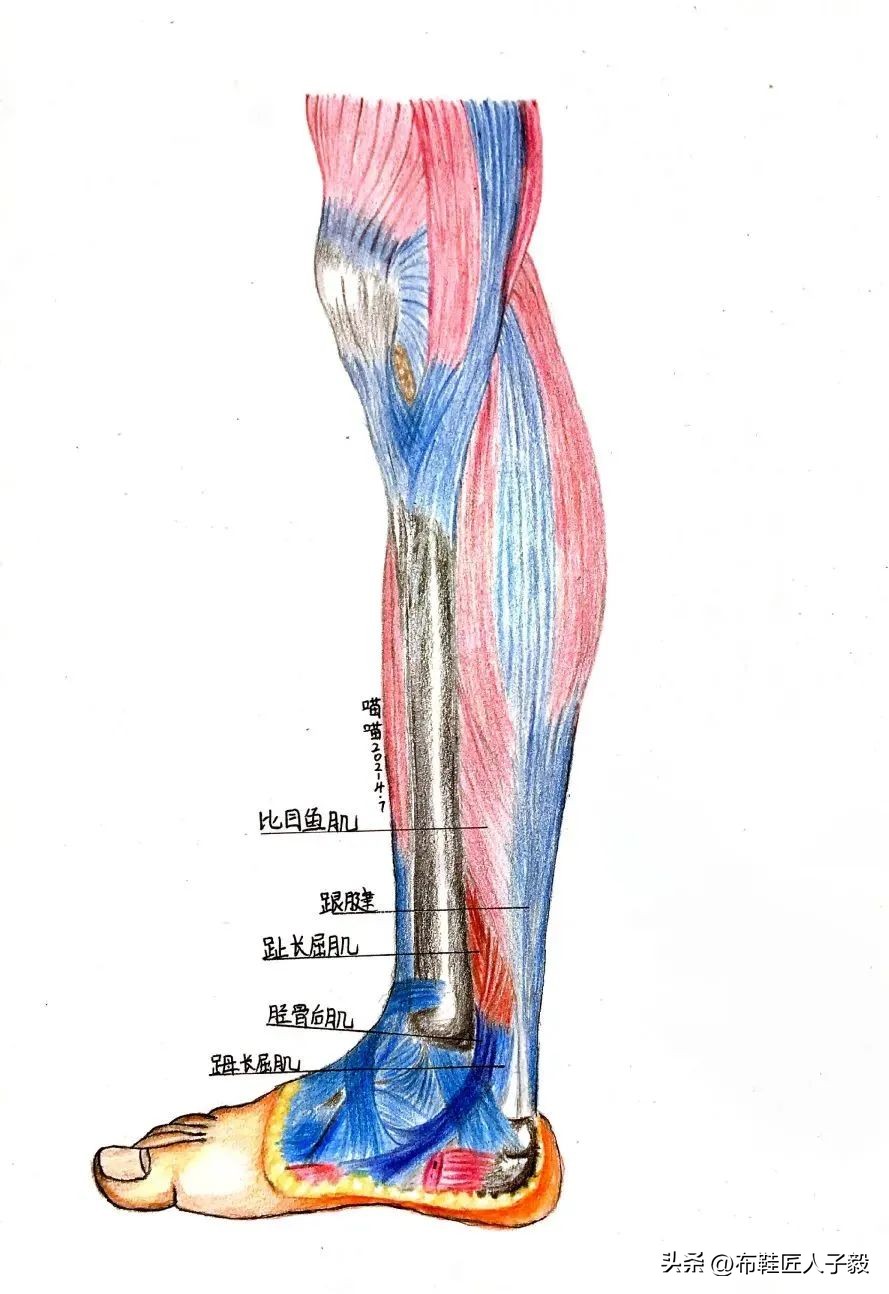 扁平足穿鞋撑不起来该怎么办,矫正扁平足的鞋子有哪些牌子