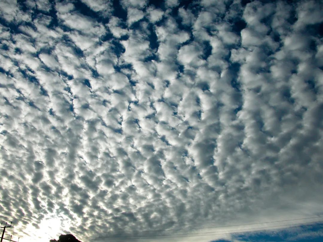 赏云协会官网中文版,赏云协会图片