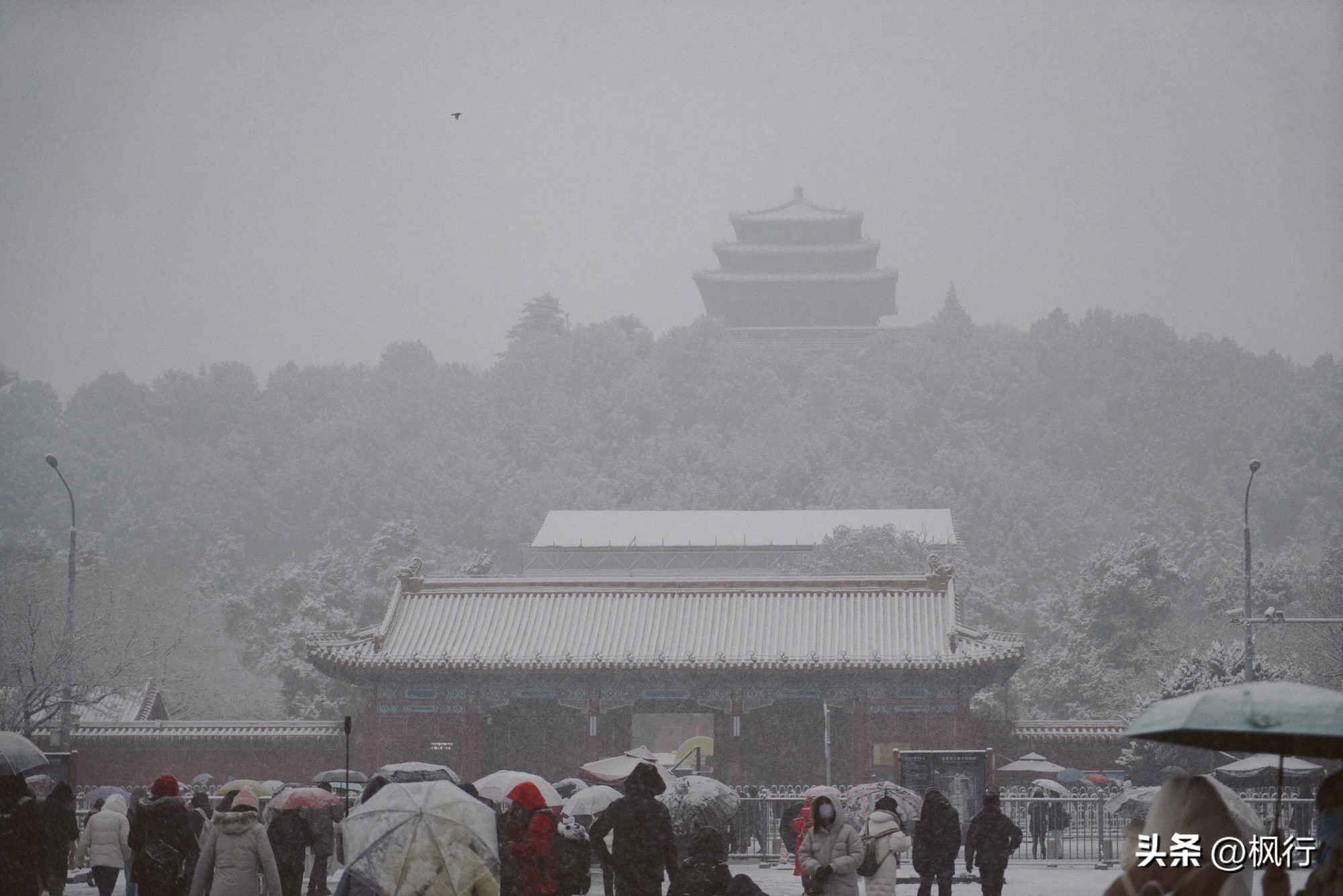 故宫开启雪景模式北京迎今冬初雪,北京下雪去哪里看故宫最好看
