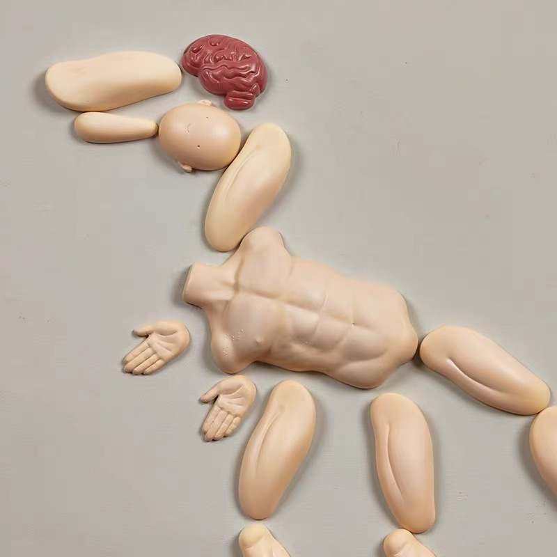 中国巧克力林雨,可可狐巧克力创始人林雨