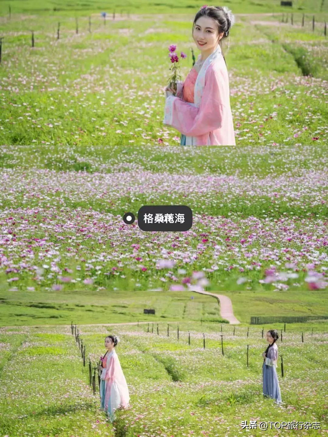 长沙秋景漂亮的地方,长沙周边秋景