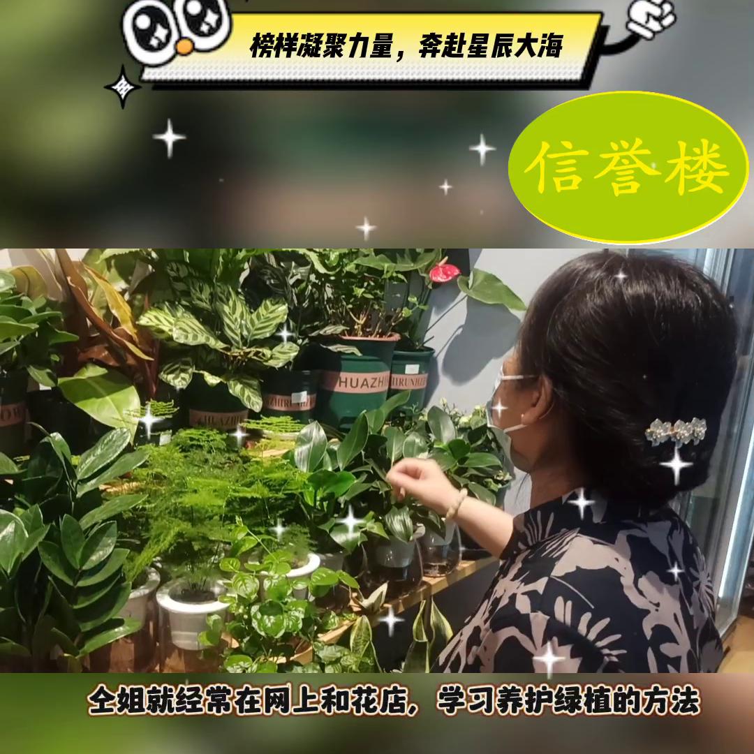 【定州信誉楼】定州信誉楼服务标兵———针棉部四星级优秀...