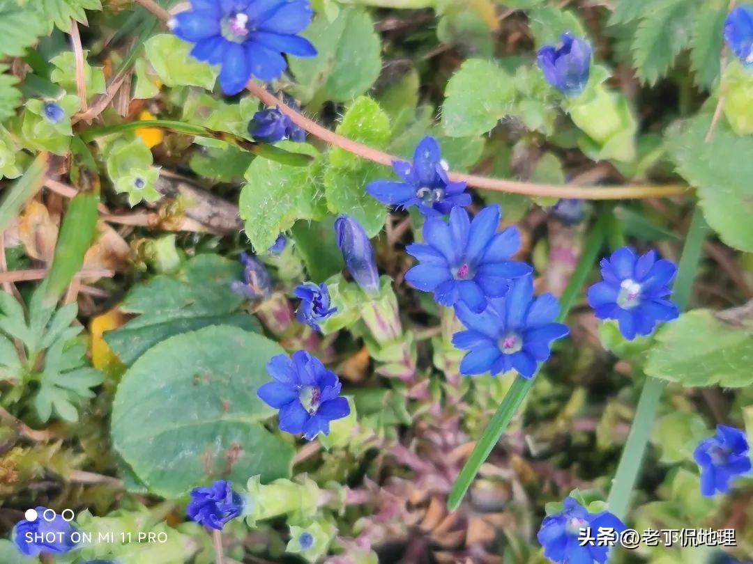 川西大环线马尔康线路推荐吗,川藏317阿里大环线地图及攻略