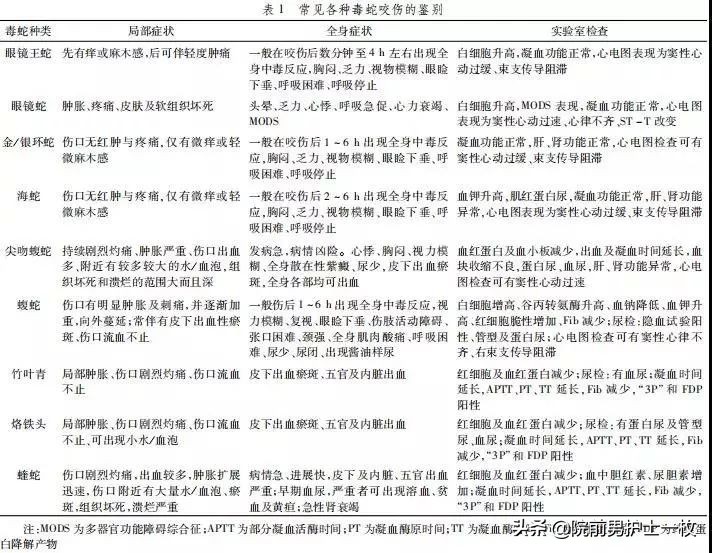 蛇咬伤急救常识大全,被蛇咬伤的处置流程及注意事项