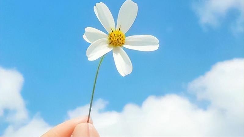 不管多少岁做一个简单快乐的人,做好当下事好运自然来