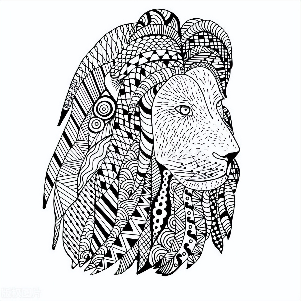 星座配对指南你与哪个星座最合拍,12星座和哪个星座当情侣最般配