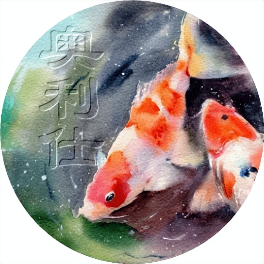 自己养的锦鲤长得慢,缸养锦鲤鱼为什么长得慢