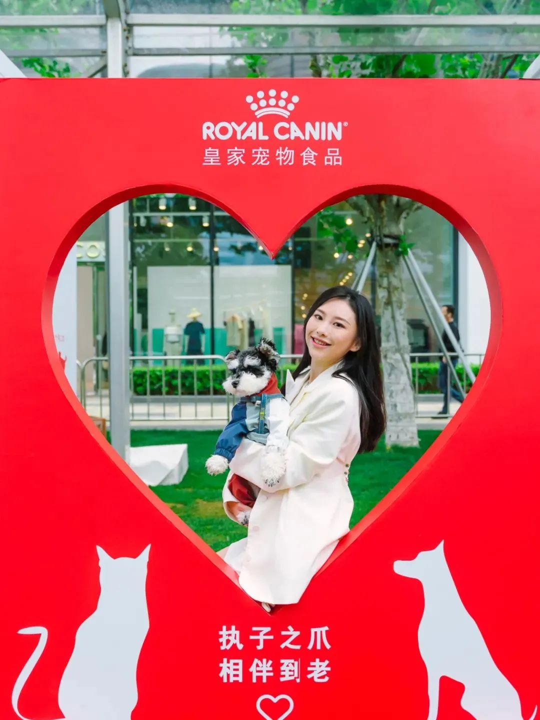 市区100平米宠物游乐园,宠物游乐场室内