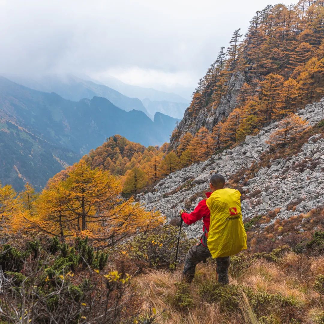 登太白山感受,太白山景区登顶拔仙台