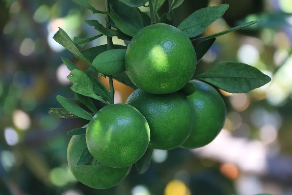 最近的泰兴,泰兴现在的样子