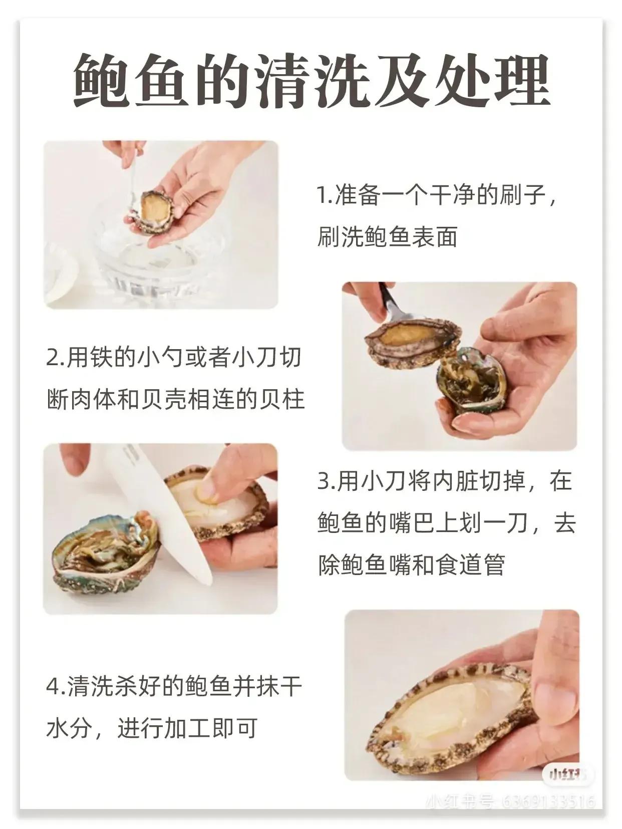 鲍鱼很多种不认识？教你它们的区别和口感，以及吃法