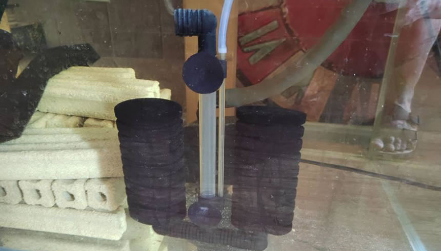 60cm龙鱼鱼缸需要24小时开氧泵吗,什么时候最适合开充氧泵