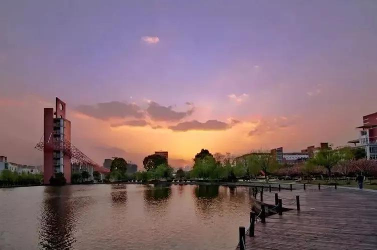 大学填报志愿最好的七个专业,未来5年志愿填报最好的专业