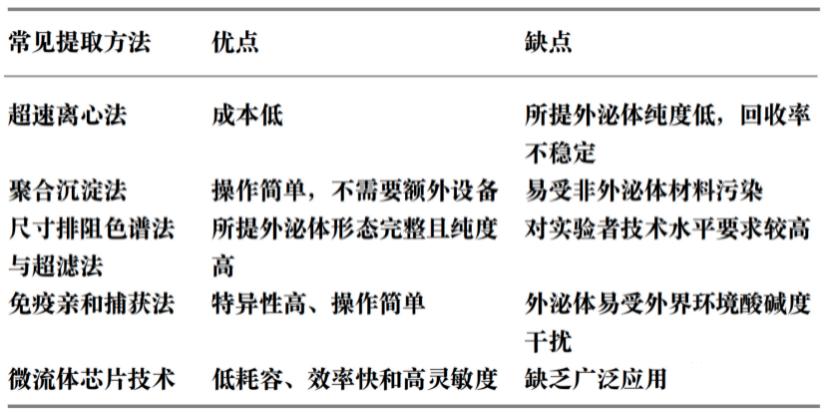 什么叫外泌体护肤,外泌体美容有什么副作用