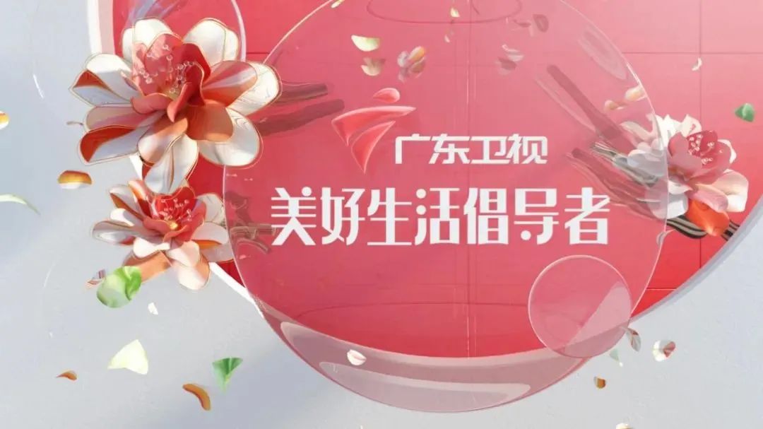 我眼中的广东江门,我眼中的东莞完整版