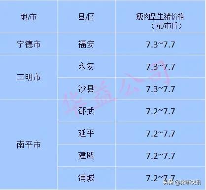 猪价快讯福建各地区猪价,猪价今日福建