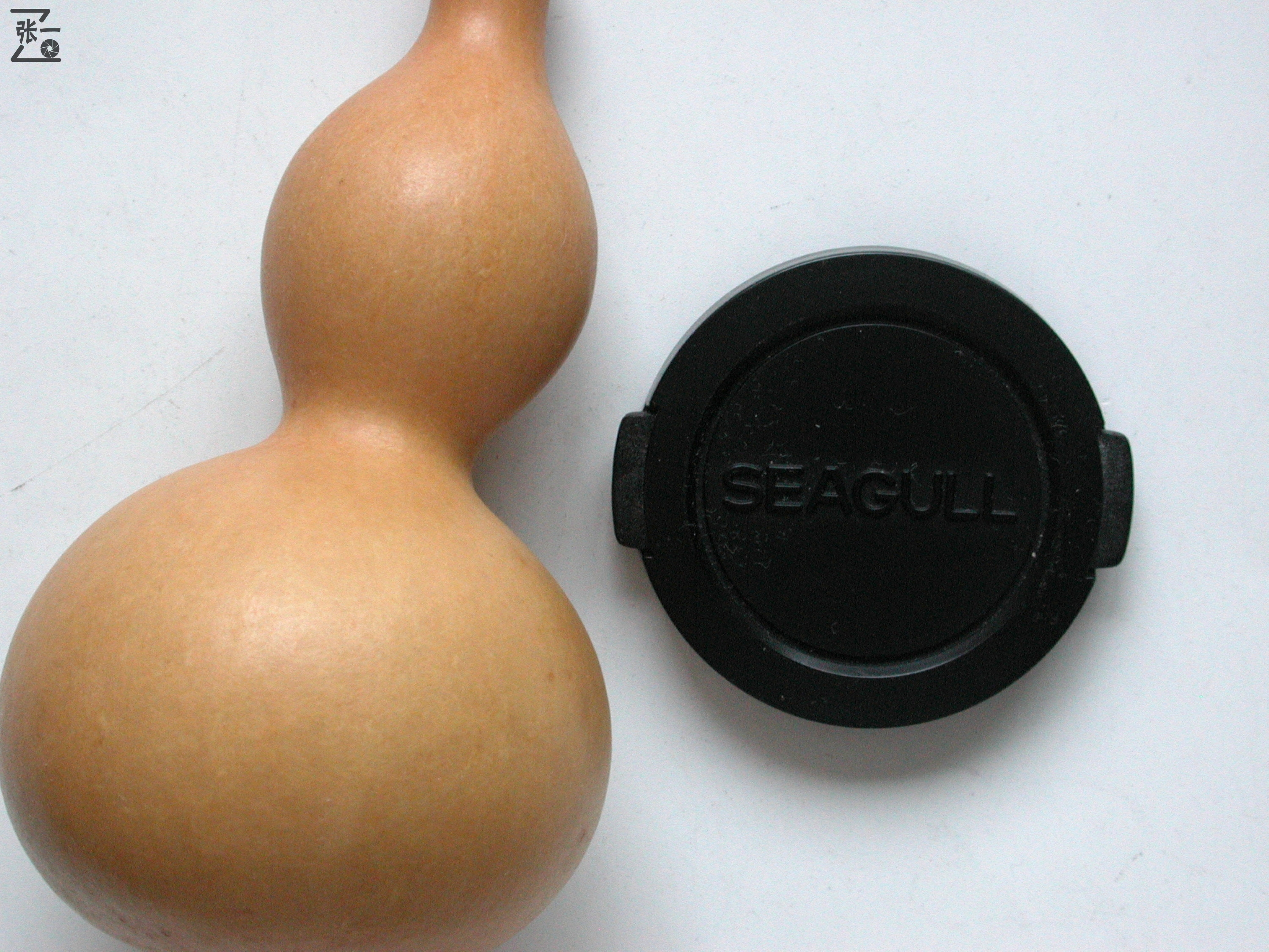 海鸥df-3单反相机,海鸥df单反