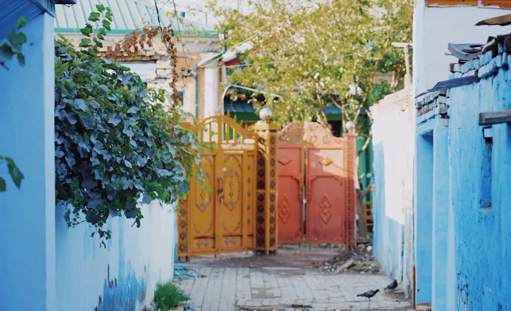 那拉提空中草原雪景照片,大草原的壮丽雪景图