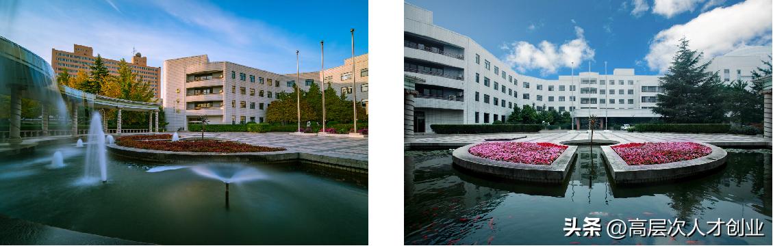 中国石化上海石油化工研究院招聘,中石化石油化工科学研究院待遇