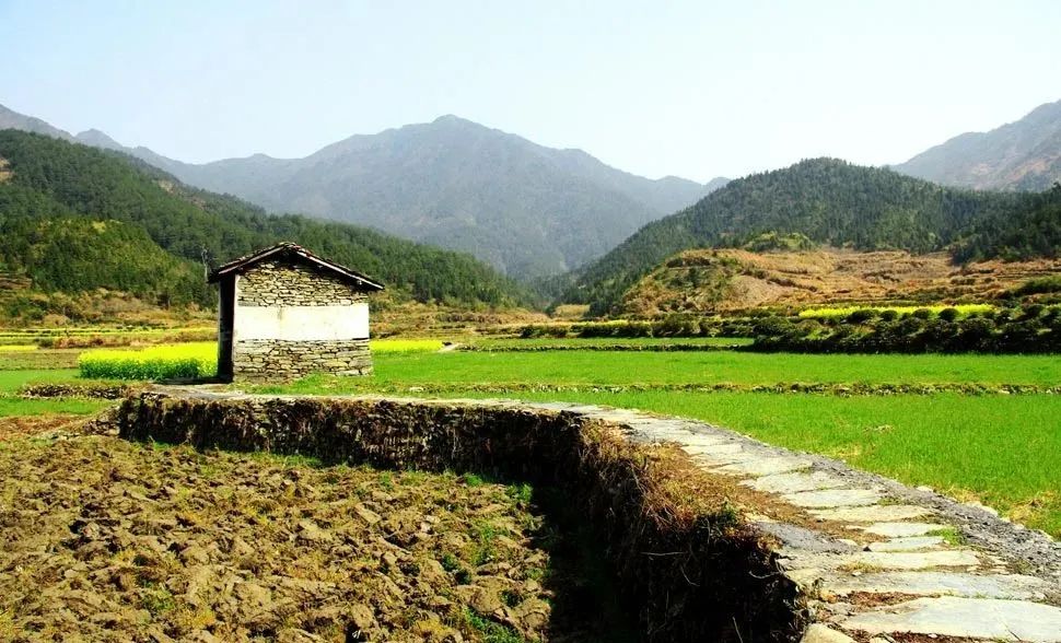 宅基地上的房屋已坍塌,被*迁拆**时还能获得补偿安置吗?