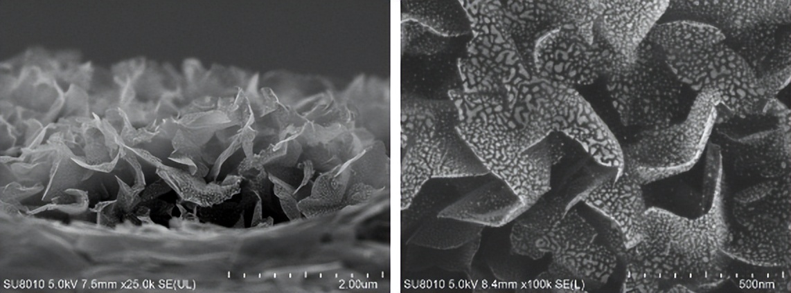 石墨烯应用于电化学传感器的发展,石墨烯电化学传感器发展