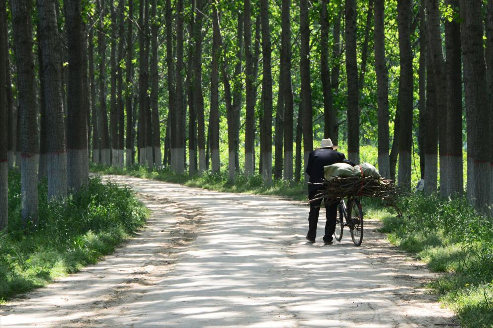 农村假富人最新视频,农村炫富的新形式