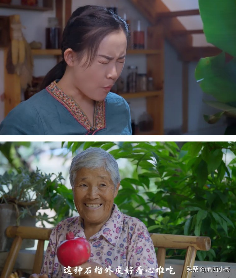 美丽的红宝石石榴,一席一果