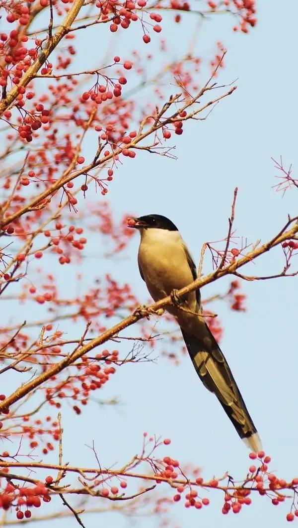 面对家人尿毒症我们怎么调整心态,一旦转为尿毒症的话后果不堪设想