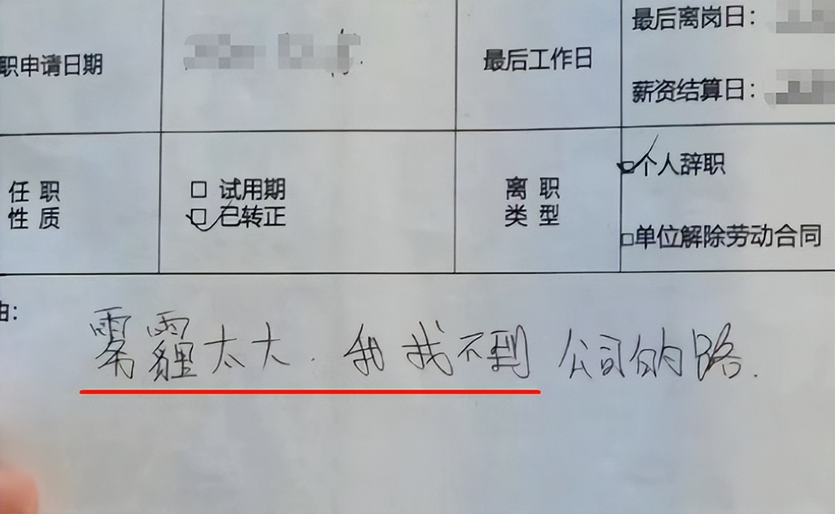 最近火了最硬核的辞职信,00后辞职信火了快乐才是最重要的