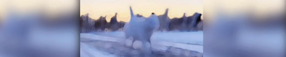 刚签100亿大单,签下200万订单后续