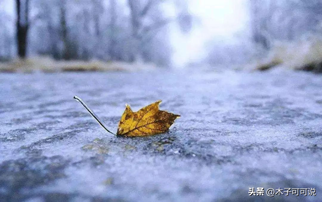 新冠由阳转阴的过程动画,一个新冠病人的康复自述