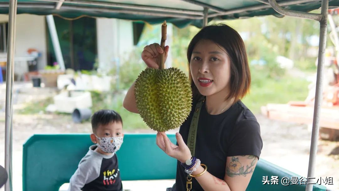 榴莲园带你看越南最美的榴莲,去泰国榴莲园里摘榴莲