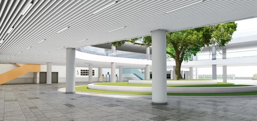 打造学生健康快乐成长的“林中学堂”，这所深圳高中做到了！