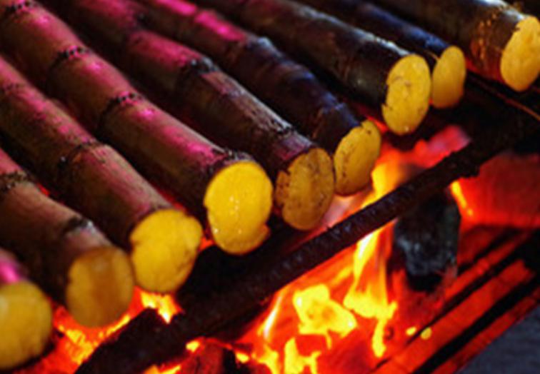 吃什么水果可以修复胃黏膜养胃,什么水果吃了对胃好养胃治胃病