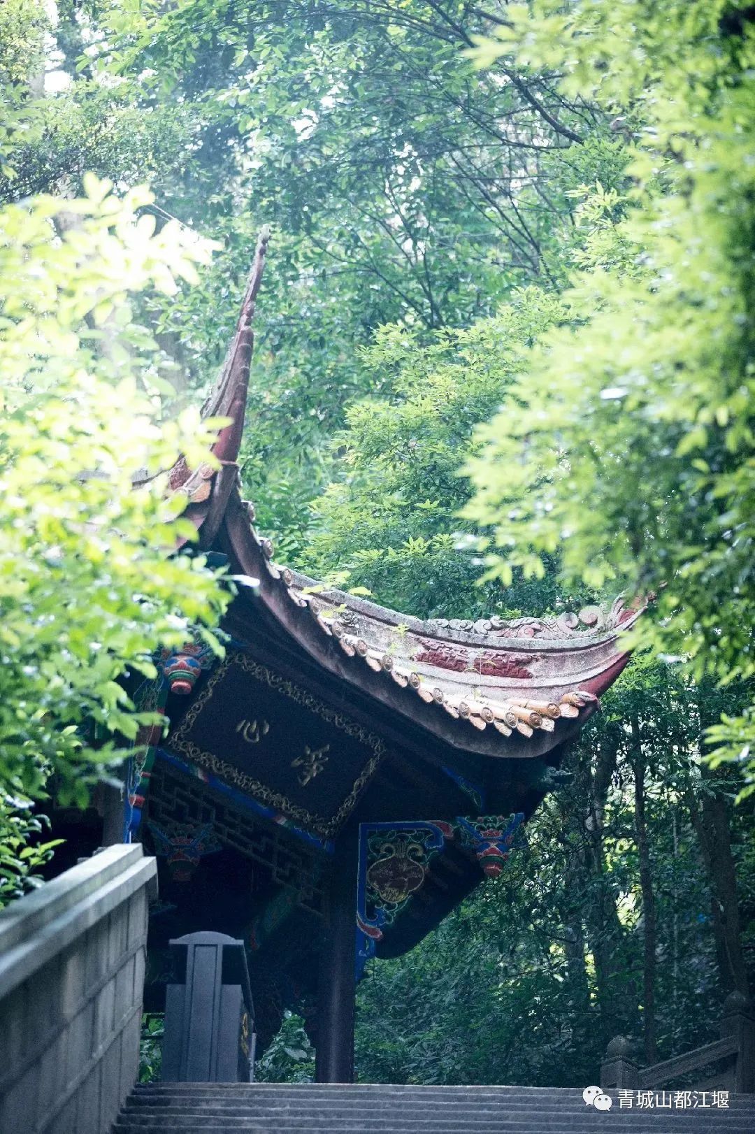 抓住秋天的尾巴！都江堰必打卡的8大晚秋好去处，步青山观烟岚云岫、入古城拾千年烟火，来过都会爱上