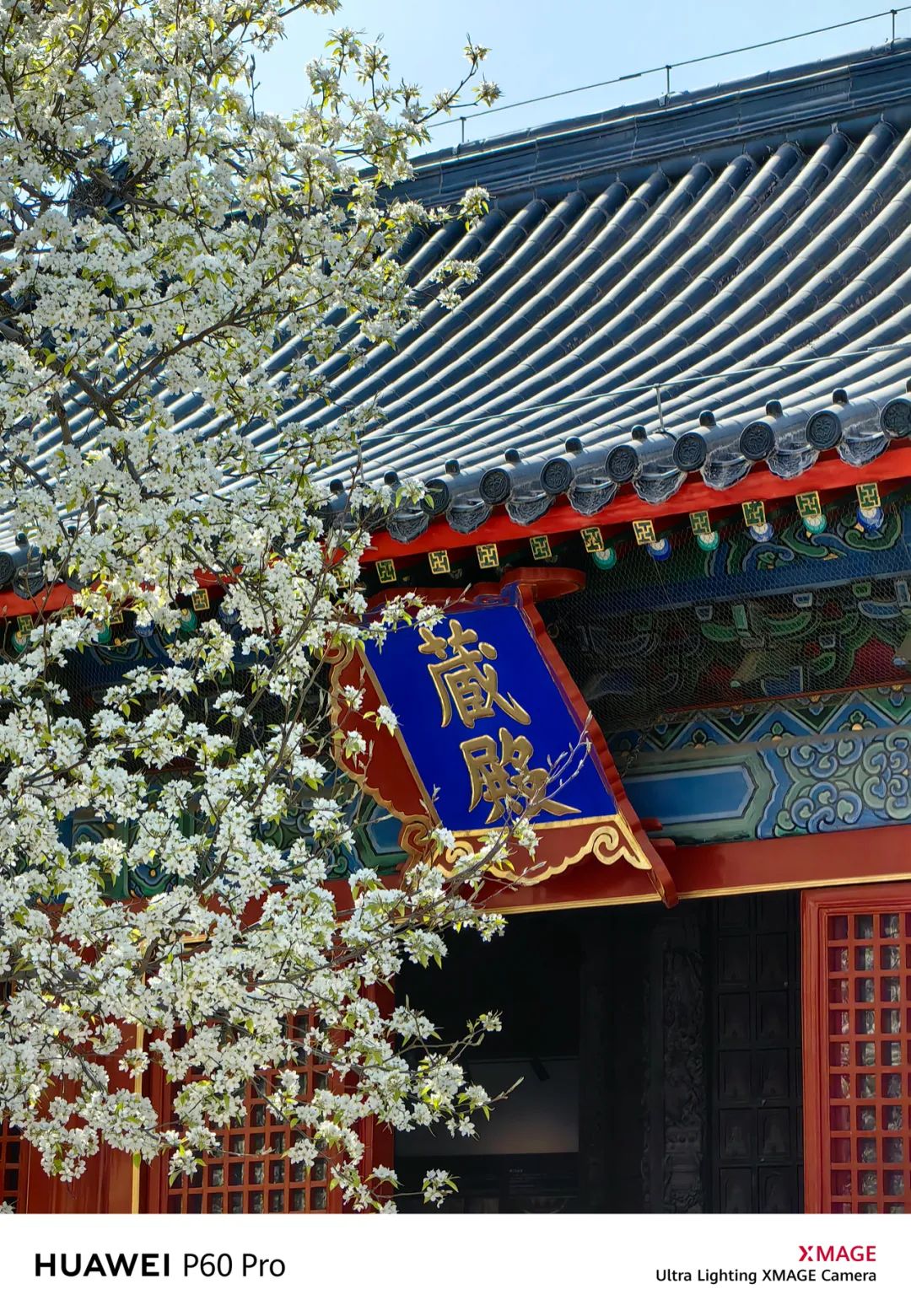 华为p60pro拍照样张原图,华为p60pro拍摄照片样张