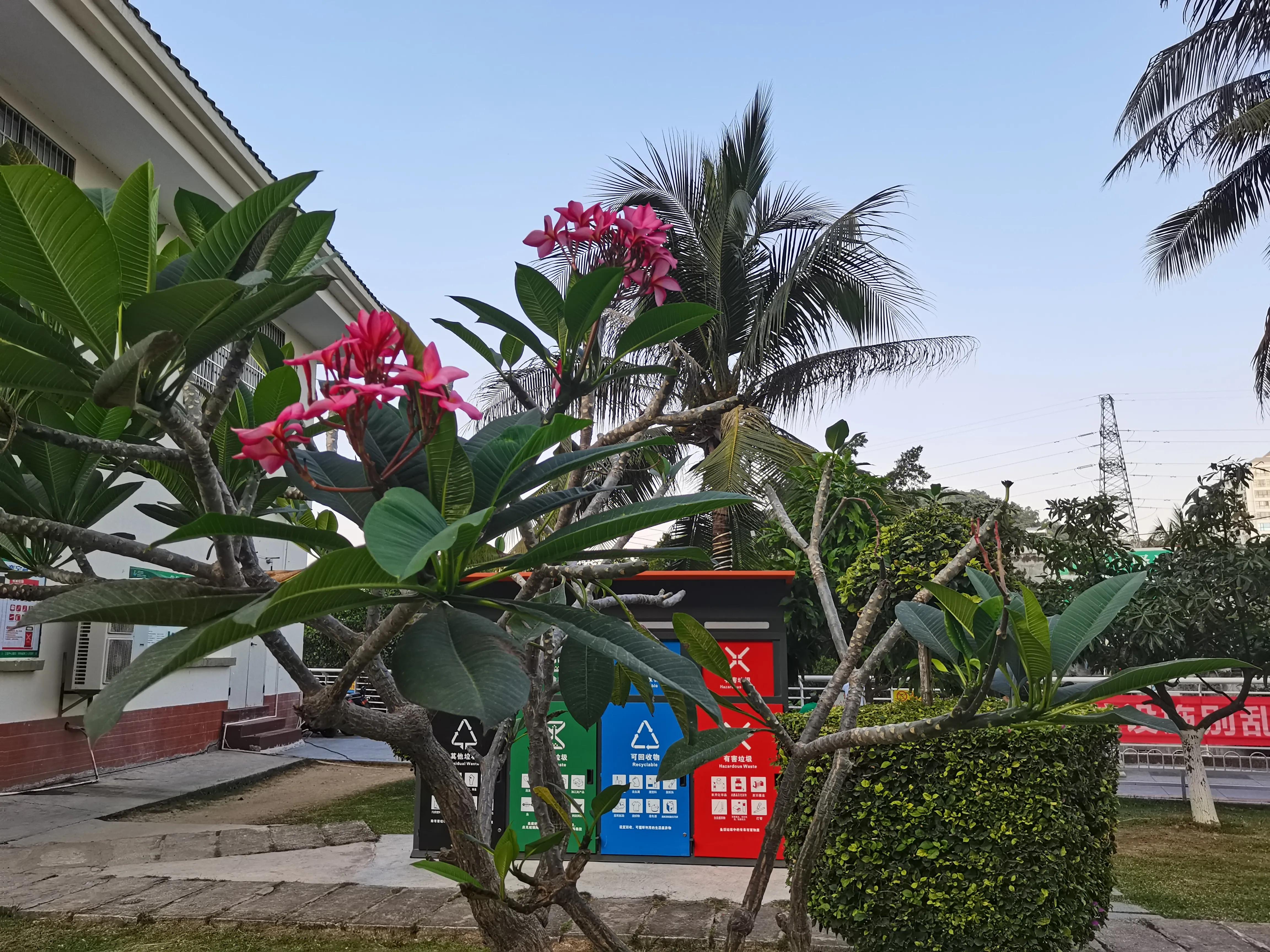 冬天海南风景视频,冬季的海南