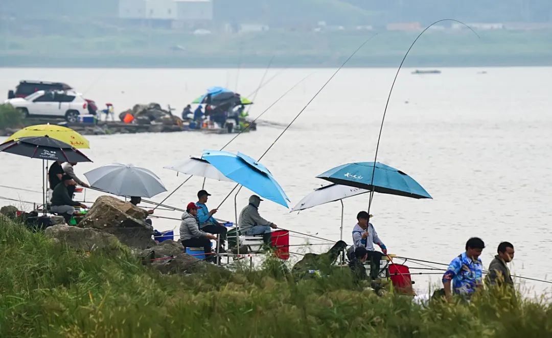 钓鱼上瘾如何劝说别人,钓鱼上瘾怎么劝朋友不玩