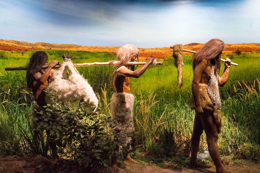 女性生殖期挺短的，为何还要经历更年期？或是为了帮助人类进化