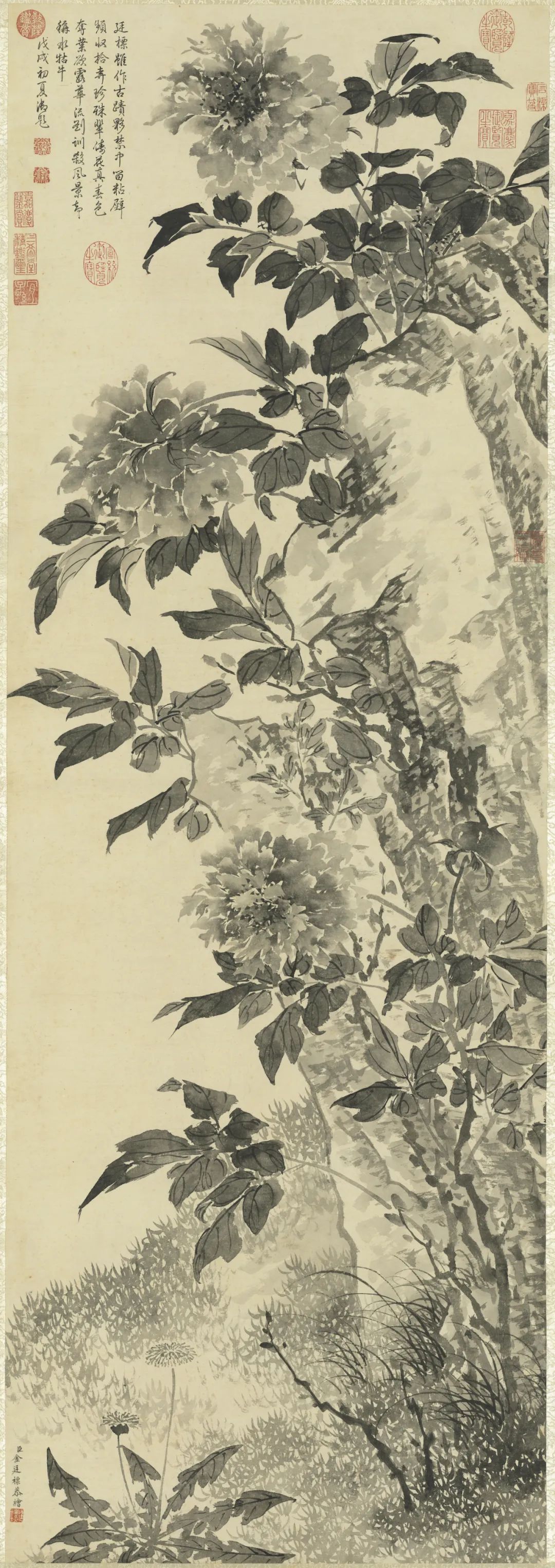 慕容看世界的视频,慕容看世界所有视频