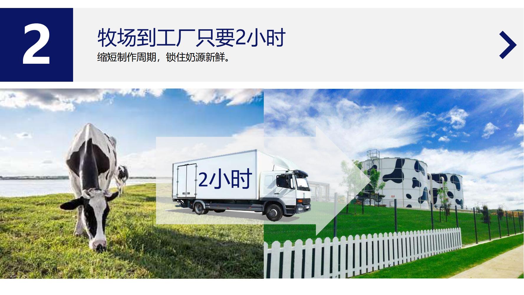 蒙牛特仑苏营销策划,蒙牛特仑苏广告词