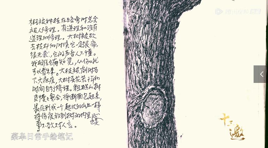 她只用了两个字，国产涨到9.5，没有一个好评是粉丝刷的