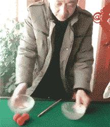 小鳄龟为啥养着养着就断尾了,以前不理解别人养宠物