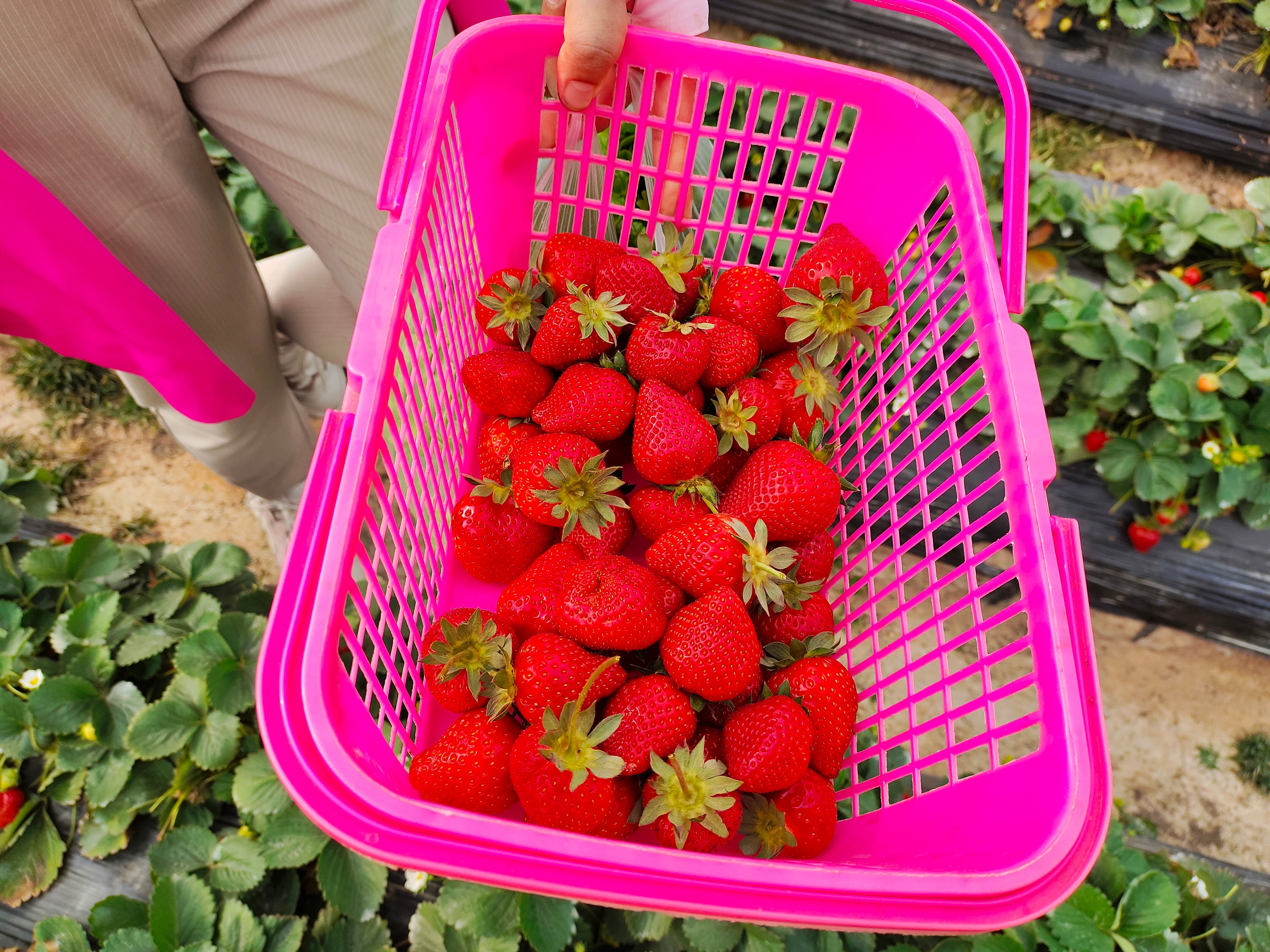 公司团建策划方案深圳,高端团建策划方案