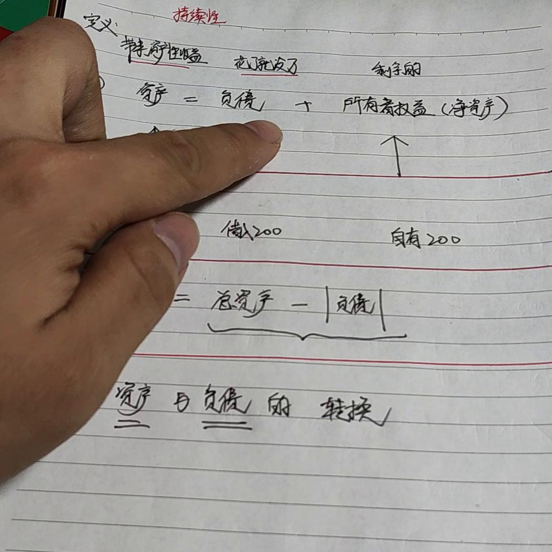 负债及所有者权益是正数表示什么,负债及所有者权益合计是什么意思