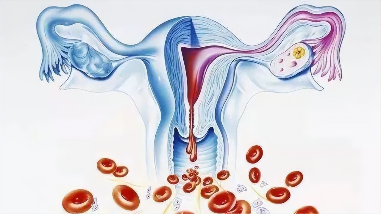 节育环在女性体内会发生哪些变化,女性节育环多少年必须取出来