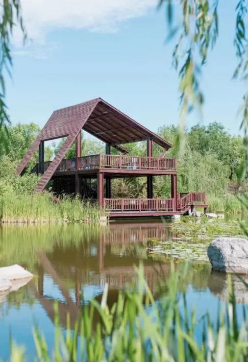 天津遛娃好地方,天津遛娃的免费公园