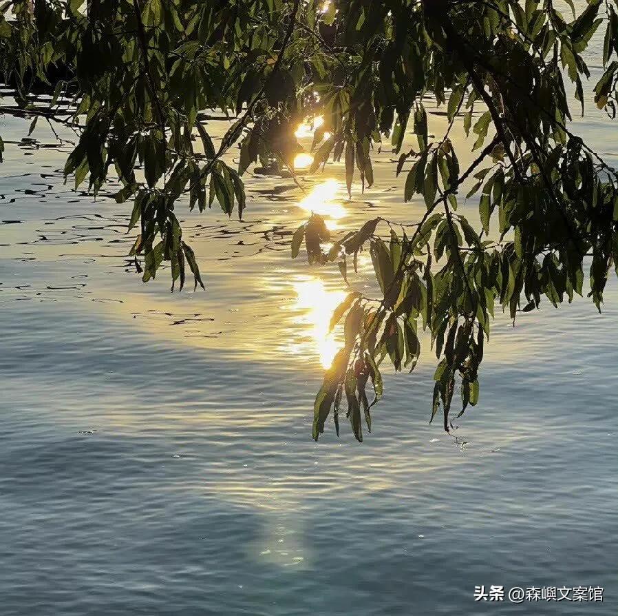 聊天凑热闹的幽默文案,聊天emo文案男生专用