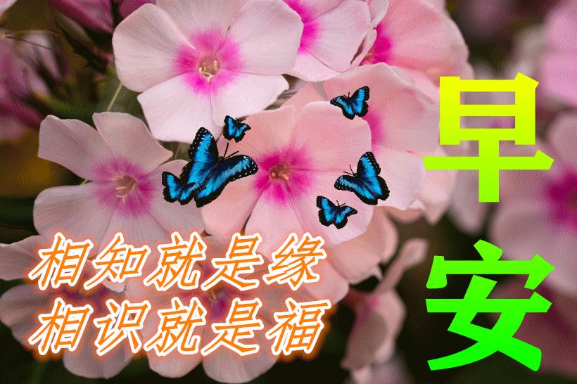 早上好祝福图片带字周末,早晨好漂亮祝福图片带字