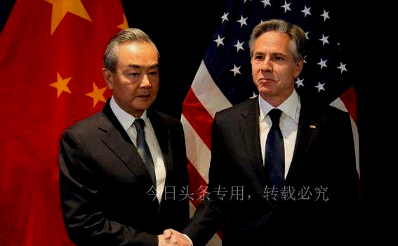 一头灰犀牛,一头犀牛闯进北美野牛群